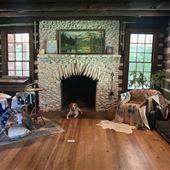 Log Cabin on the Beech