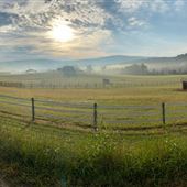 Free Rein Farm