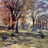 Calvary Cemetery