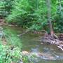 1947 Authentic Log Cabin/House