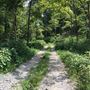 Weeping Willow Estates Lot 12
