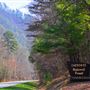 Cherokee National Forest