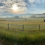 Free Rein Farm
