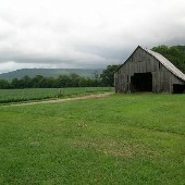 Adam's Land
