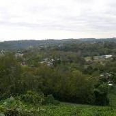 Harriman Cemetary