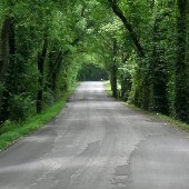 Old Town Road