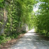 Narrow of the Harpeth Road