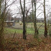 Roane Co Shack 3
