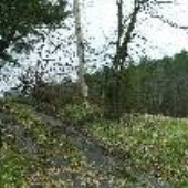 Roane Co Shack 6