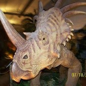 Dinosaur Walk - Pigeon Forge