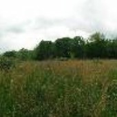 Todd Farm