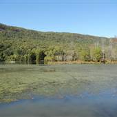 Prentice Cooper State Forest