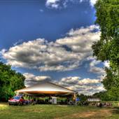 Nolichucky Vineyard