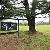 Southwind Farm
