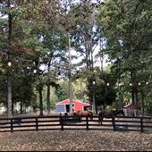 Nashville Farm