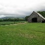 Adam's Land