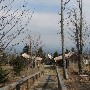 LeConte Lodge