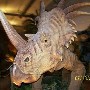 Dinosaur Walk - Pigeon Forge