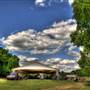 Nolichucky Vineyard