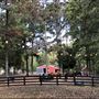 Nashville Farm