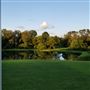 Deer Lake Plantation