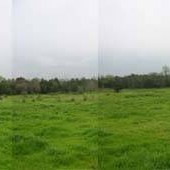 Collin Farm