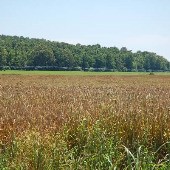 Richardson Landing Rd