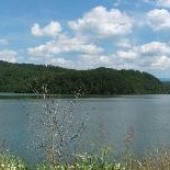 Tellico Lake
