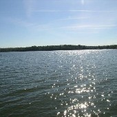 Percy Priest Lake