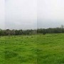 Collin Farm