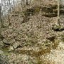 PrimmSpring