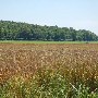 Richardson Landing Rd