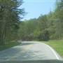 Raccoon Mountain