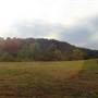 Clinch River Farm