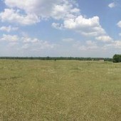 Bonnaroo Site