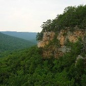 Savage Gulf