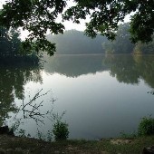 Meeman Shelby State Park