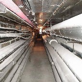 Vanderbilt Steam Tunnel