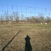 Caryonah Ranch - Deer Photos