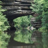Pickett State Park