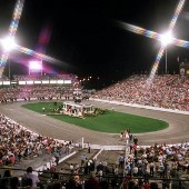 Celebration - Calsonic Horse Arena
