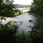 Land Between the Lakes