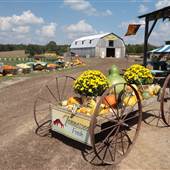 Keller's Corny Country