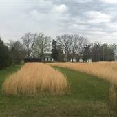 Cedar Grove Plantation circa 1850