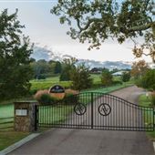 Arrington Vineyard