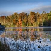 Bays Mountain Park