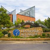 TN Aquarium