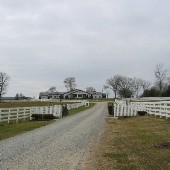 Bridlewood Farm
