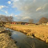 Creekside Farms