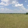 Bonnaroo Site